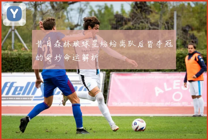 昔日森林狼球星纷纷离队后皆夺冠的奇妙命运解析