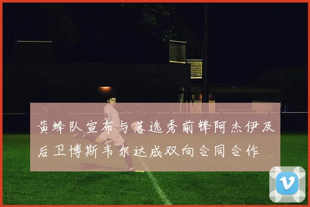 黄蜂队宣布与落选秀前锋阿杰伊及后卫博斯韦尔达成双向合同合作