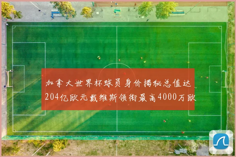 加拿大世界杯球员身价揭秘总值达204亿欧元戴维斯领衔最高4000万欧